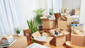 Packers and Movers Navi Peth