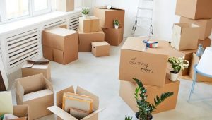 Packers and Movers Fatima Nagar