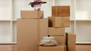 Packers and Movers Erandwane