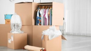 Packers and Movers Dahanukar Colony
