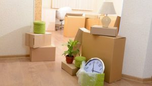 Packers and Movers Bavdhan