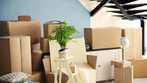 Packers and Movers Baner